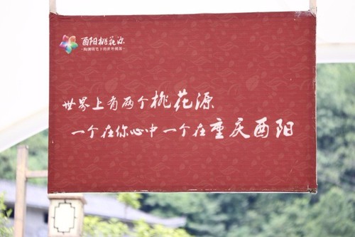 f031c7c2d25ce2aac935248e03648aee-sz_399070 f031c7c2d25ce2aac935248e03648aee-sz_399070