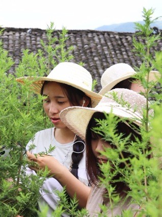 93e2f373134c31e572f1c7f68b758faf-sz_753866 93e2f373134c31e572f1c7f68b758faf-sz_753866