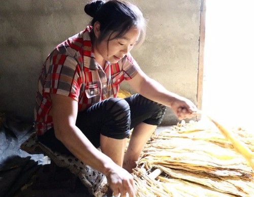 f7e1ae8fca75587fa2f02a4379140219-sz_521208 f7e1ae8fca75587fa2f02a4379140219-sz_521208