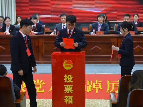 投票过程 投票过程