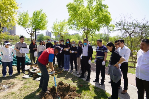 181930_500x500 181930_500x500