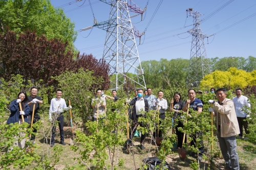 181935_500x500 181935_500x500