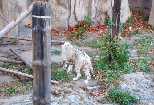 微信图片_20231206114921 微信图片_20231206114921