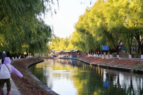 微信图片_20231206114913 - 副本 微信图片_20231206114913 - 副本