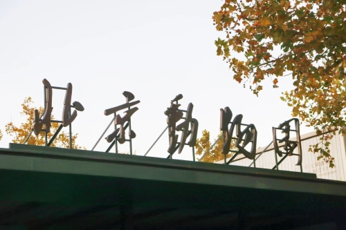 微信图片_20231206114938 微信图片_20231206114938