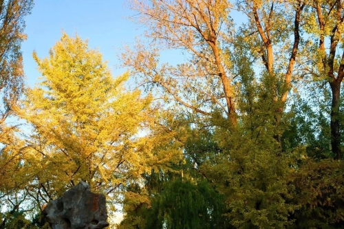 微信图片_20231206114916 - 副本 微信图片_20231206114916 - 副本