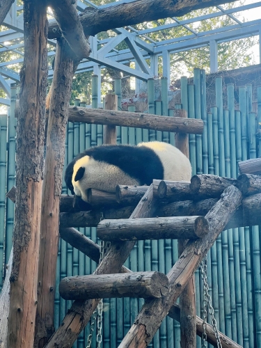 微信图片_202312061149181 微信图片_202312061149181