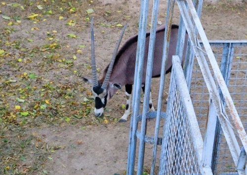 微信图片_20231206114923 微信图片_20231206114923