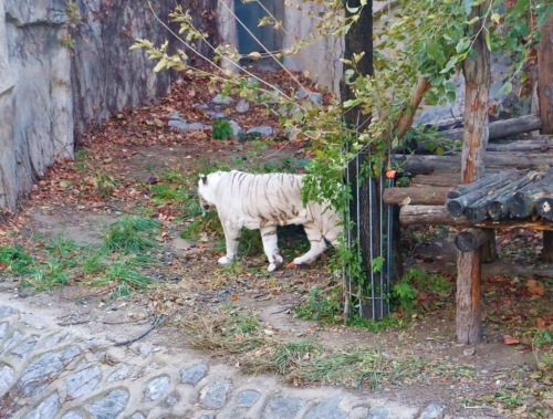 微信图片_20231206114920 微信图片_20231206114920