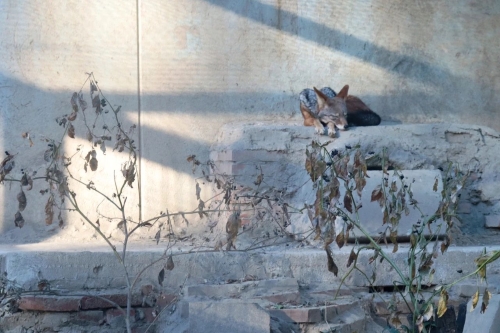 微信图片_20231206114922 微信图片_20231206114922