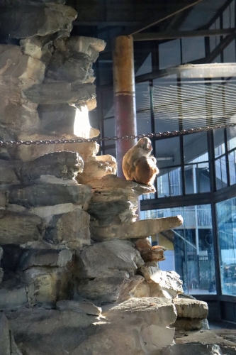 微信图片_202312061149191 微信图片_202312061149191