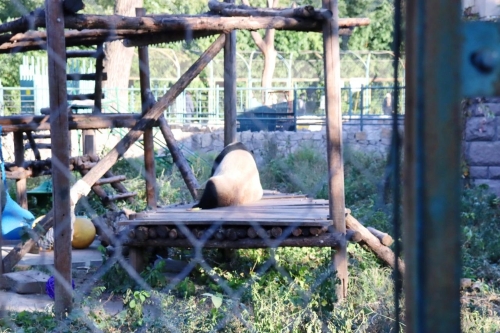 微信图片_20231206114918 - 副本 微信图片_20231206114918 - 副本