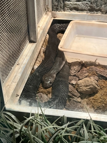 微信图片_20231206114919 微信图片_20231206114919